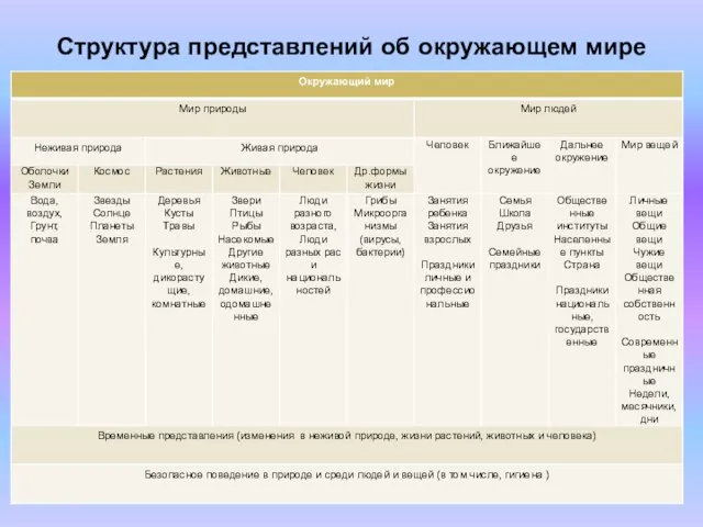 Структура представлений об окружающем мире