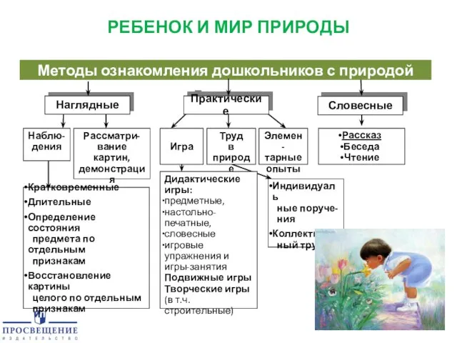 РЕБЕНОК И МИР ПРИРОДЫ