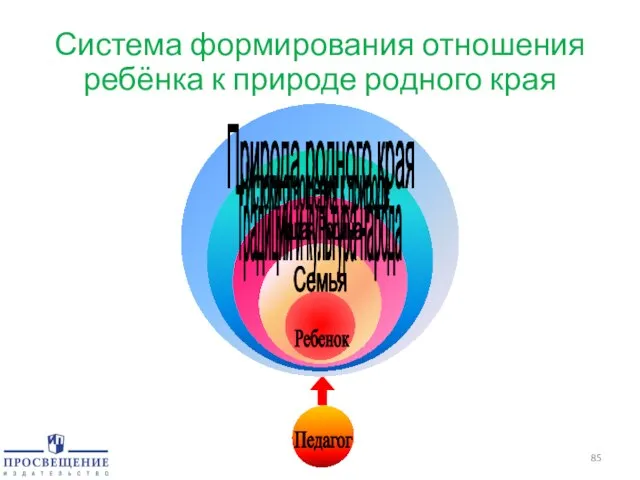 Система формирования отношения ребёнка к природе родного края Педагог