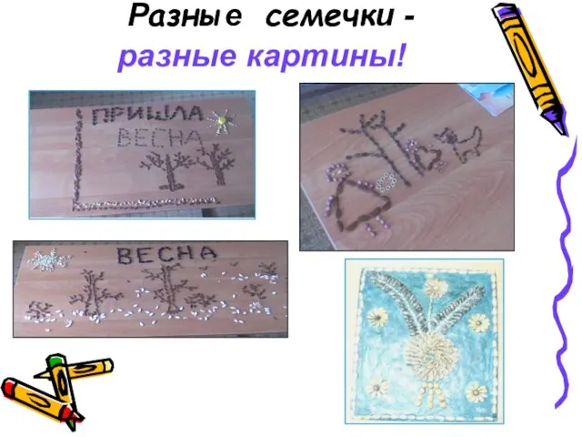 Разные семечки - разные картины!