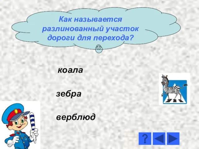 коала зебра верблюд Как называется разлинованный участок дороги для перехода?