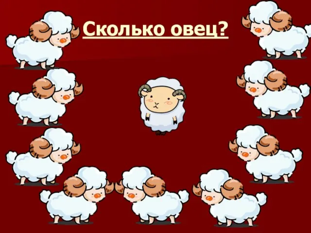 Сколько овец?