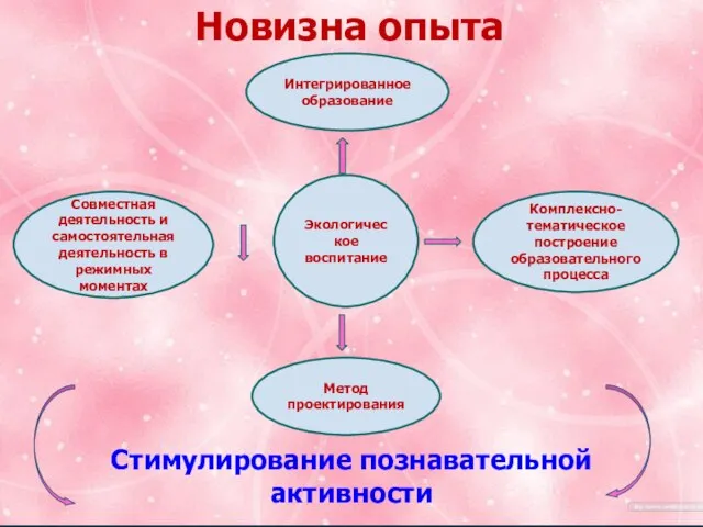 Тема. «Формирование познавательной активности через экологическое воспитание». Новизна опыта Экологическое воспитание Интегрированное