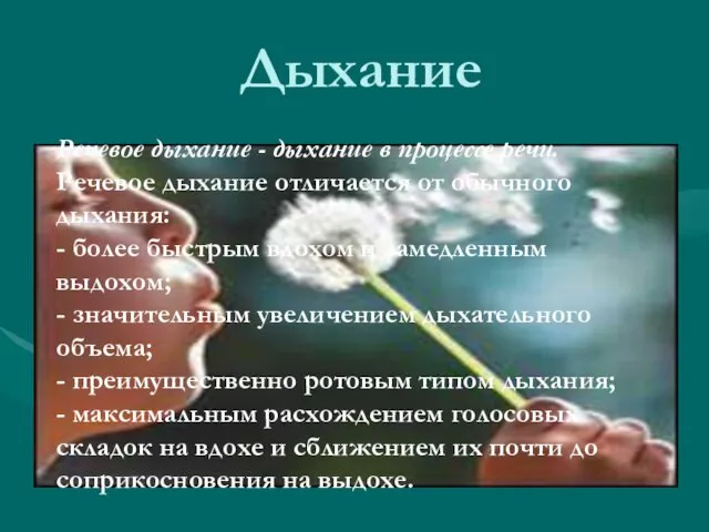 Дыхание Речевое дыхание - дыхание в процессе речи. Речевое дыхание отличается от