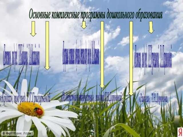 Основные комплексные программы дошкольного образования «Программа воспитания и обучения в детском саду»