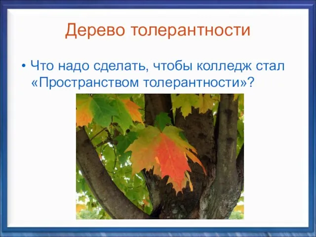 Дерево толерантности Что надо сделать, чтобы колледж стал «Пространством толерантности»?