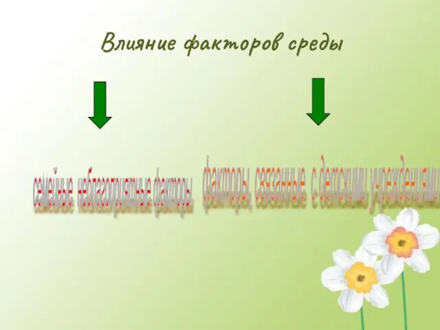 Влияние факторов среды семейные неблагоприятные факторы факторы, связанные с детскими учреждениями