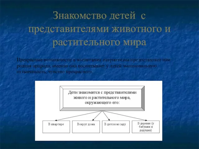 Знакомство детей с представителями животного и растительного мира Прекрасные возможности в воспитании