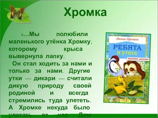 «…Мы полюбили маленького утёнка Хромку, которому крыса вывернула лапку. Он стал ходить