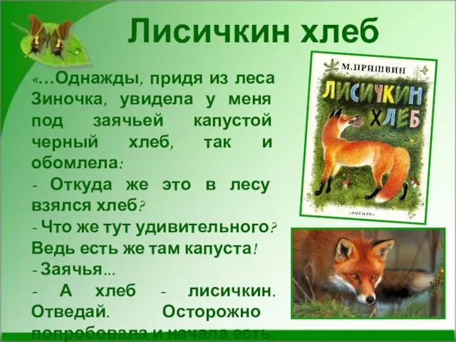 Лисичкин хлеб «…Однажды, придя из леса Зиночка, увидела у меня под заячьей