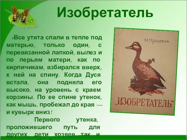 Изобретатель «Все утята спали в тепле под матерью, только один, с перевязанной