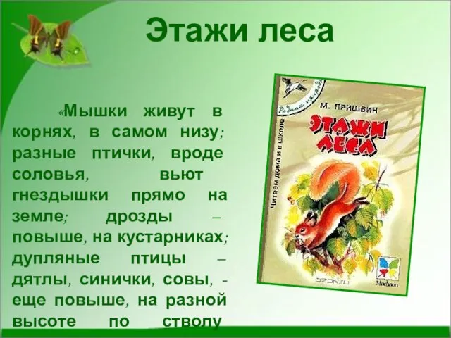 «Мышки живут в корнях, в самом низу; разные птички, вроде соловья, вьют