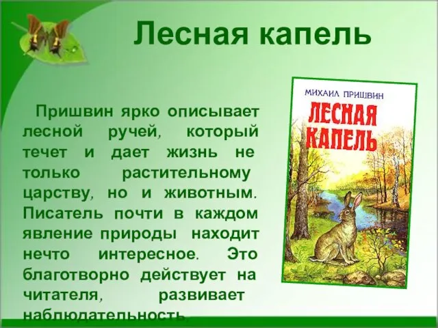 Лесная капель Пришвин ярко описывает лесной ручей, который течет и дает жизнь