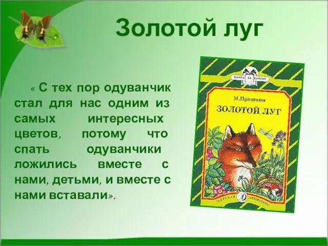 Золотой луг « С тех пор одуванчик стал для нас одним из