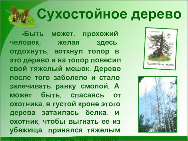 Сухостойное дерево «Быть может, прохожий человек, желая здесь отдохнуть, воткнул топор в