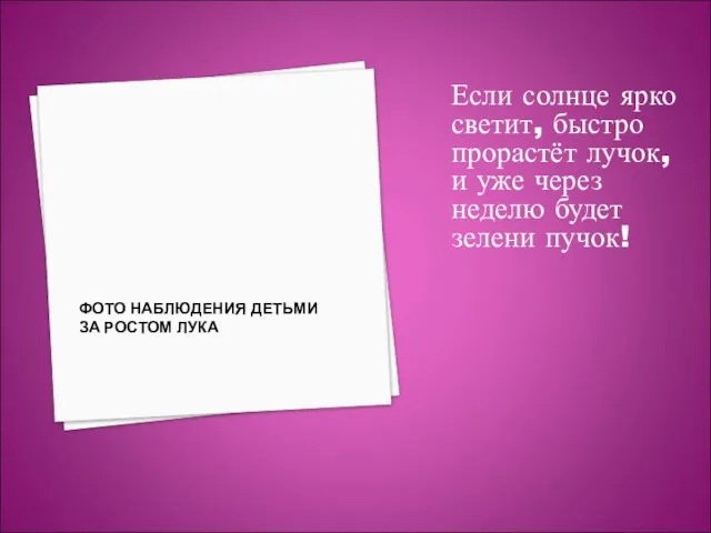 ФОТО НАБЛЮДЕНИЯ ДЕТЬМИ ЗА РОСТОМ ЛУКА Если солнце ярко светит, быстро прорастёт