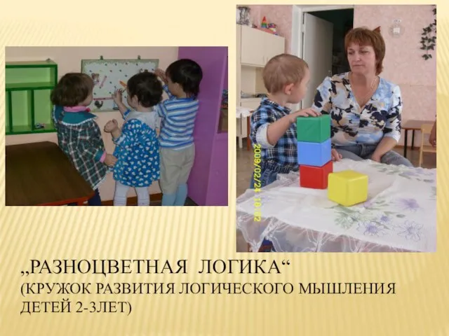 „РАЗНОЦВЕТНАЯ ЛОГИКА“ (КРУЖОК РАЗВИТИЯ ЛОГИЧЕСКОГО МЫШЛЕНИЯ ДЕТЕЙ 2-3ЛЕТ)