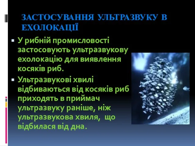 ЗАСТОСУВАННЯ УЛЬТРАЗВУКУ В ЕХОЛОКАЦІЇ У рибній промисловості застосовують ультразвукову ехолокацію для виявлення