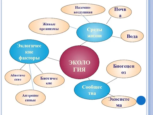 ЭКОЛОГИЯ Среды жизни Почва Вода Сообщества Биогеценоз Экосистема Эклогические факторы Абиотические Биотические Антропогенные Наземно-воздушная Живые организмы