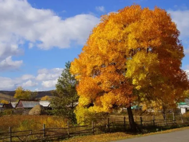 Der Herbst zieht durch die Fluren, durch Walder,Berg und Grund