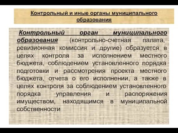 Контрольный и иные органы муниципального образования Контрольный орган муниципального образования (контрольно-счетная палата,