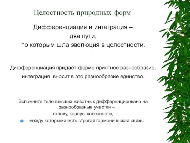 Целостность природных форм Дифференциация и интеграция – два пути, по которым шла