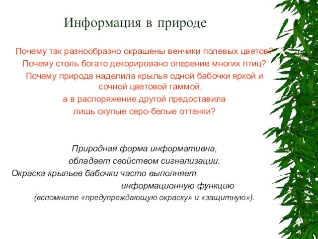 Информация в природе Почему так разнообразно окрашены венчики полевых цветов? Почему столь