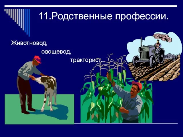 11.Родственные профессии. Животновод, овощевод, тракторист.