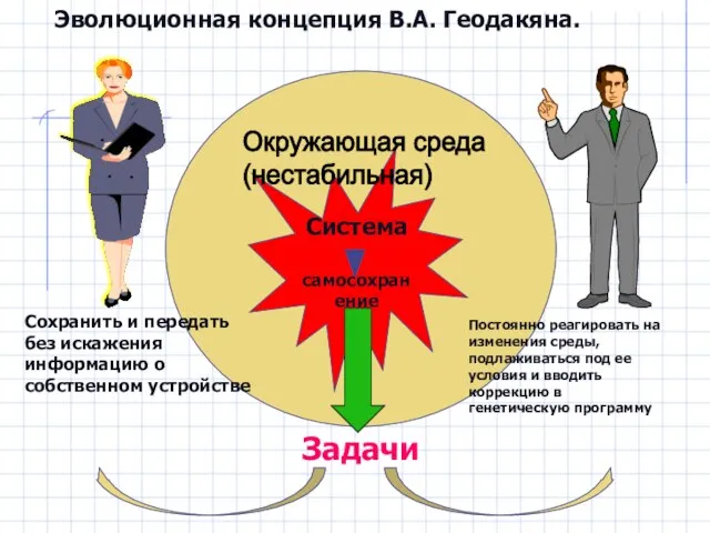 Эволюционная концепция В.А. Геодакяна. Система самосохранение Окружающая среда (нестабильная) Задачи Сохранить и