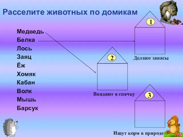 Расселите животных по домикам Медведь Белка Лось Заяц Ёж Хомяк Кабан Волк