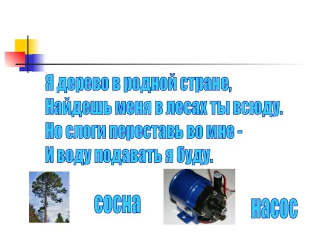 Я дерево в родной стране, Найдешь меня в лесах ты всюду. Но