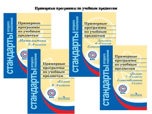 Примерные программы по учебным предметам