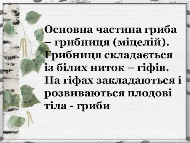 Основна частина гриба – грибниця (міцелій). Грибниця складається із білих ниток –