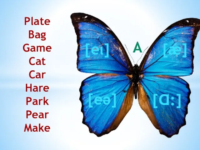 Plate Bag Game Cat Car Hare Park Pear Make [ǽ] [eι] [eә] [Ɑ:] A