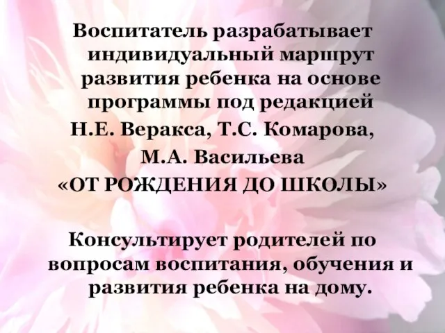 Воспитатель разрабатывает индивидуальный маршрут развития ребенка на основе программы под редакцией Н.Е.