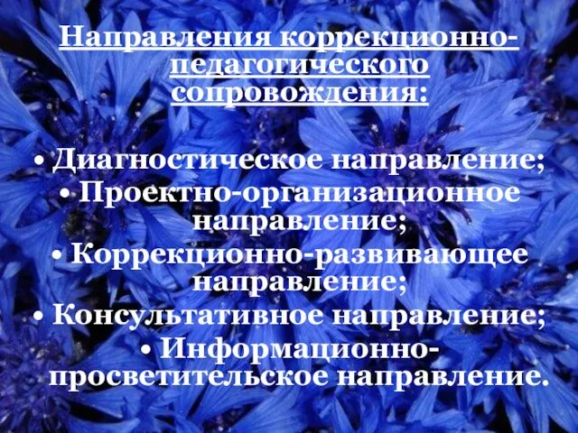 Направления коррекционно-педагогического сопровождения: Диагностическое направление; Проектно-организационное направление; Коррекционно-развивающее направление; Консультативное направление; Информационно-просветительское направление.