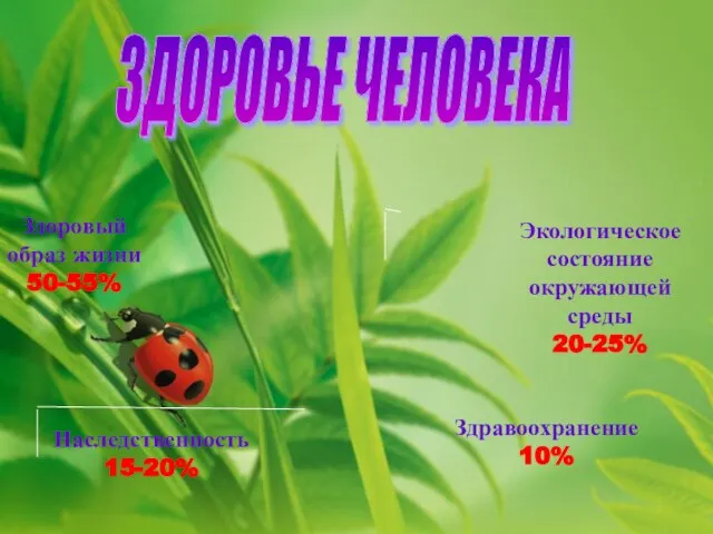 Здоровый образ жизни 50-55% Экологическое состояние окружающей среды 20-25% Наследственность 15-20% Здравоохранение 10% ЗДОРОВЬЕ ЧЕЛОВЕКА