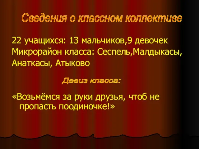 22 учащихся: 13 мальчиков,9 девочек Микрорайон класса: Сеспель,Малдыкасы, Анаткасы, Атыково «Возьмёмся за