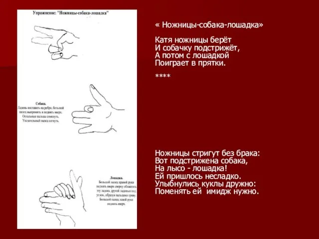 « Ножницы-собака-лошадка» Катя ножницы берёт И собачку подстрижёт, А потом с лошадкой