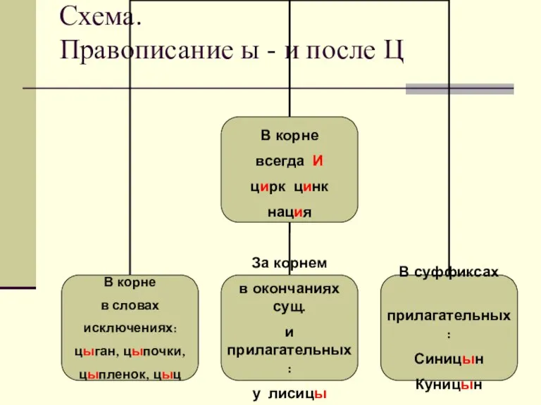 Схема. Правописание ы - и после Ц