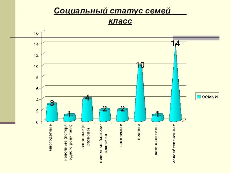 Социальный статус семей ___ класс