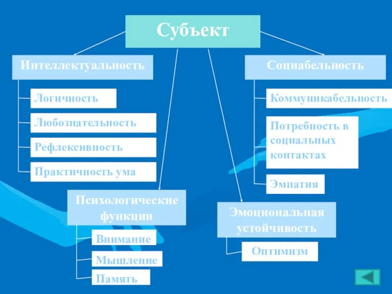 Психологические функции Внимание Память Мышление Эмоциональная устойчивость Интеллектуальность Оптимизм Логичность Любознательность Практичность