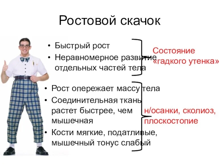 Ростовой скачок Быстрый рост Неравномерное развитие отдельных частей тела Рост опережает массу