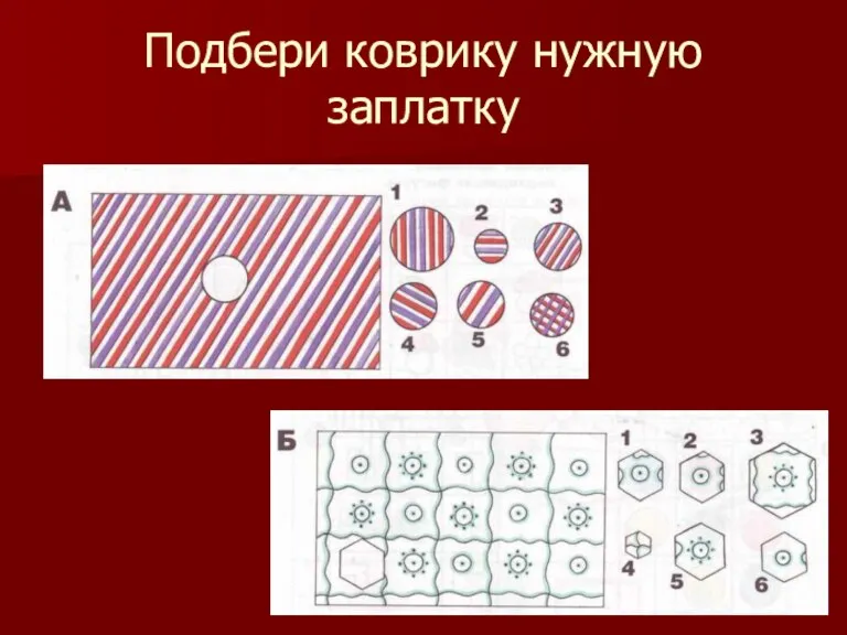 Подбери коврику нужную заплатку