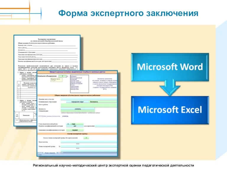 Форма экспертного заключения