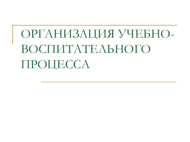 ОРГАНИЗАЦИЯ УЧЕБНО-ВОСПИТАТЕЛЬНОГО ПРОЦЕССА