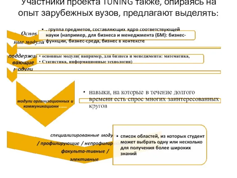 Участники проекта TUNING также, опираясь на опыт зарубежных вузов, предлагают выделять: