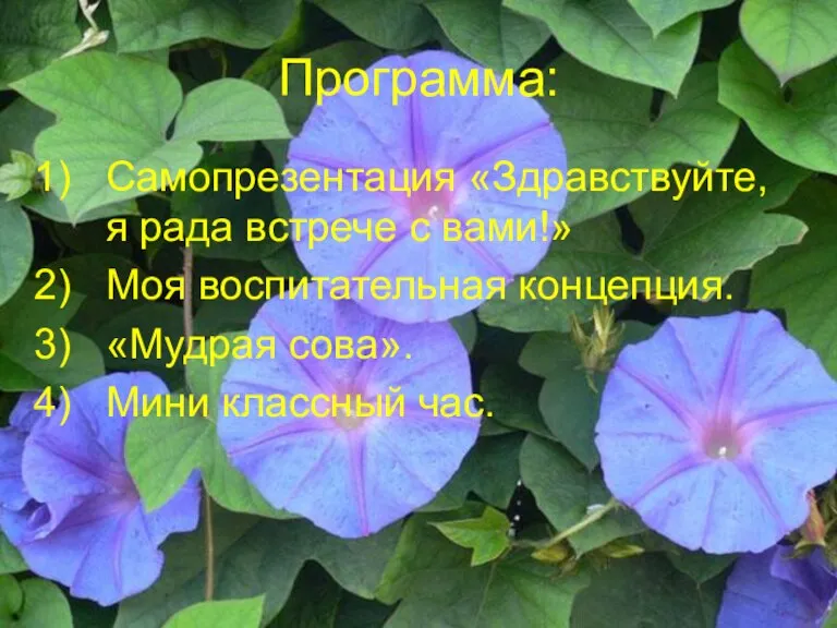 Программа: Самопрезентация «Здравствуйте, я рада встрече с вами!» Моя воспитательная концепция. «Мудрая сова». Мини классный час.