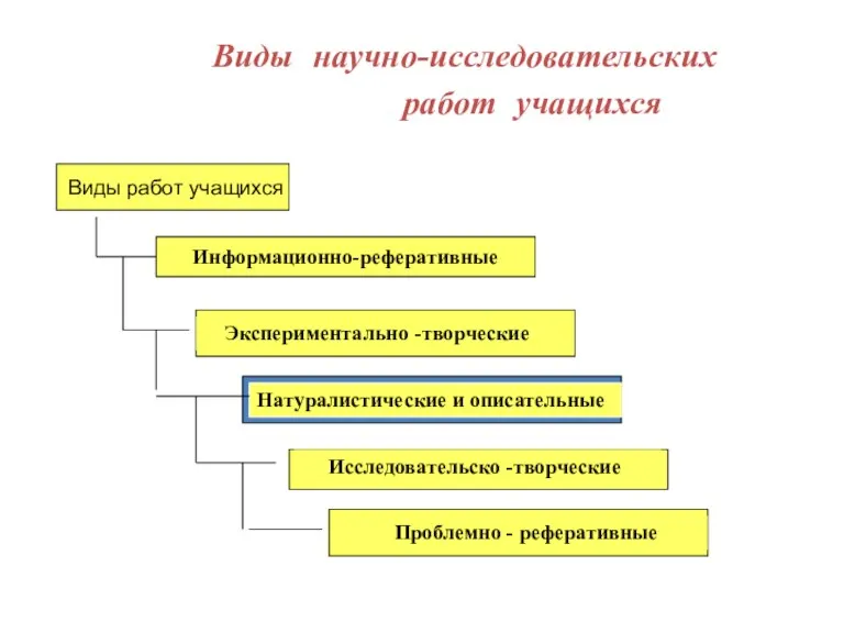 Виды научно-исследовательских работ учащихся Информационно-реферативные Виды работ учащихся Экспериментально -творческие Натуралистические и