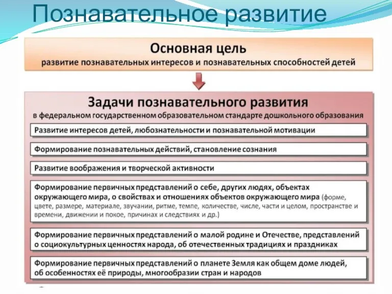 Познавательное развитие